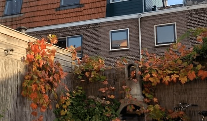 Kleine kamer met tuin in gezellig huis