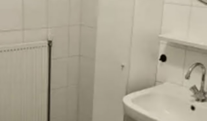 Studio met 1 slaapkamer inclusief huisdieren en registratie