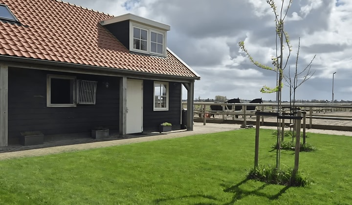 Kamer | 50m² | €1650,-