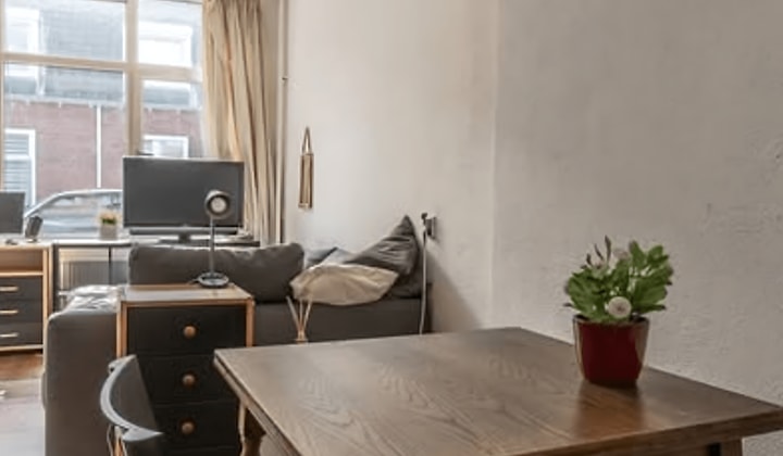 Begane grond studio