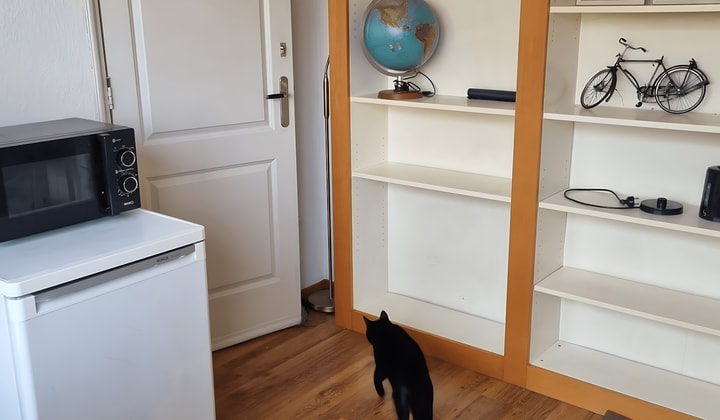 Gestoffeerde kamer met privé toilet en internet