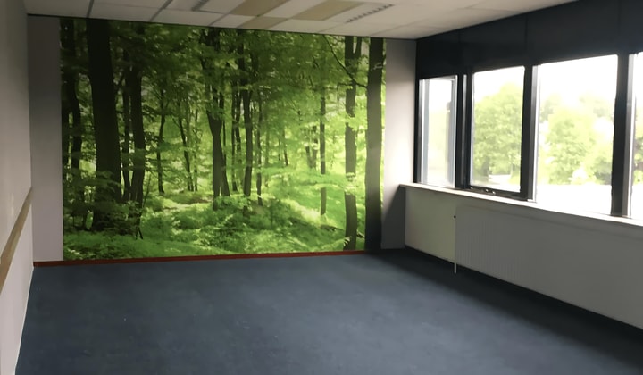 Kamer | 30m² | €300,-