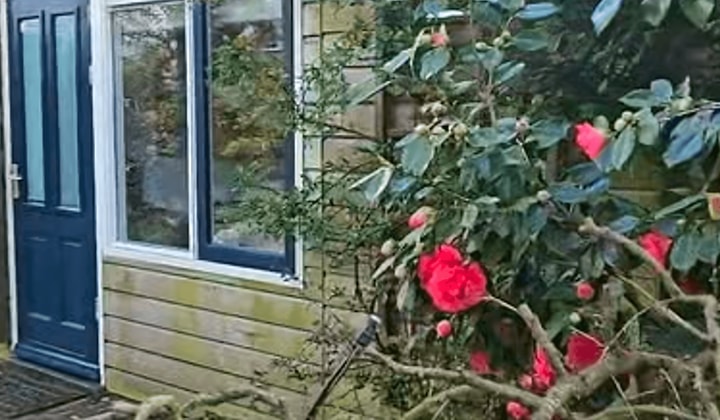 Studio | m² | €1350,-