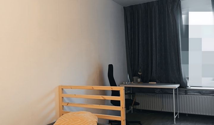 Kamer | 10m² | Laan van de Bork | €495,-