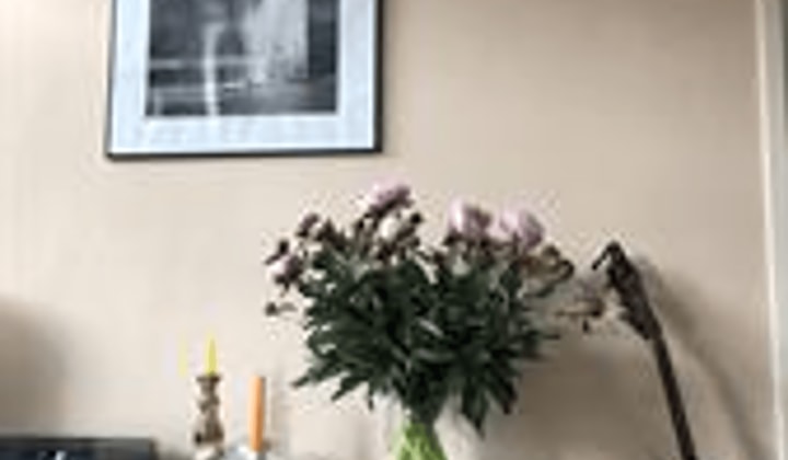 Gemeubileerd appartement met één slaapkamer, tijdelijk en inclusief vaste lasten