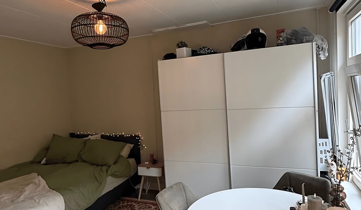 Gestoffeerde studio met eigen badkamer en keuken