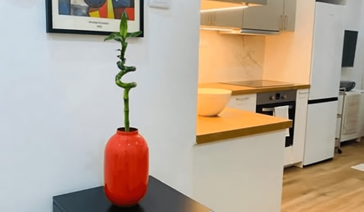 Studio-appartement 1 slaapkamer 39 m²