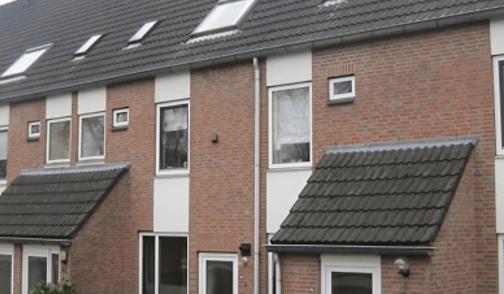 Kamer | 51m² | €556,-