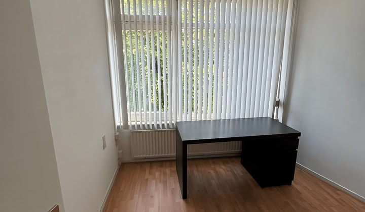 Gestoffeerde kamer in studio