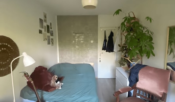 Kamer met tuin en prijs inclusief