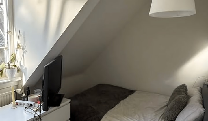 Kamer met gedeelde keuken en woonkamer