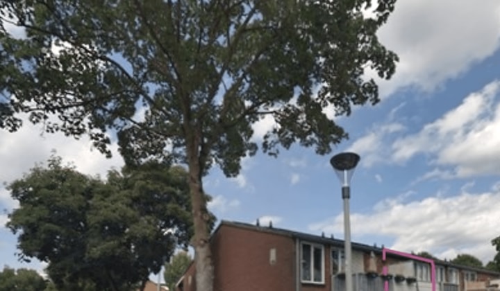 Appartement | 65m² | €713,-