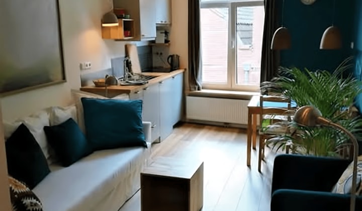 Gemeubileerde studio zonder huisdieren in centrum