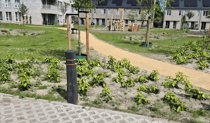 Appartement · 112 m² · €980,-