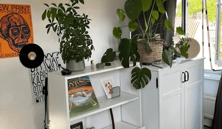 Kamer met eigen keuken en tuin, inclusief prijs