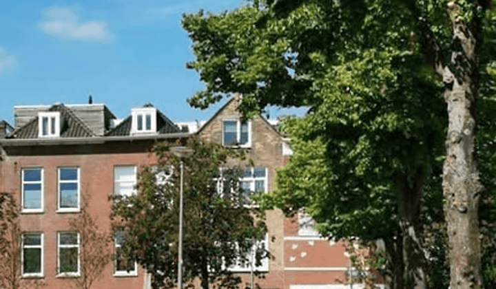 Zolderkamer met eigen badkamer en tuin