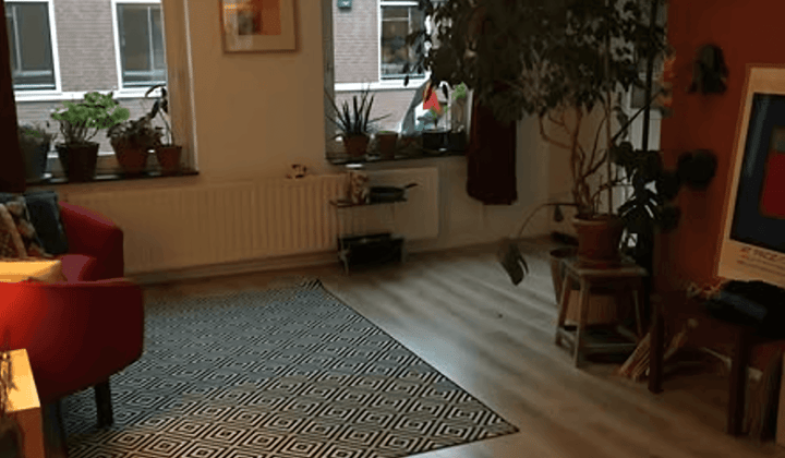 Studio met 1 slaapkamer en vaatwasser
