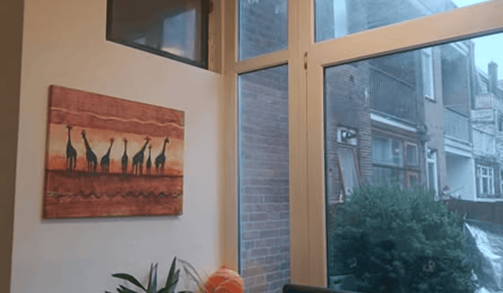 Gemeubileerde studentenkamer met balkon en tuin