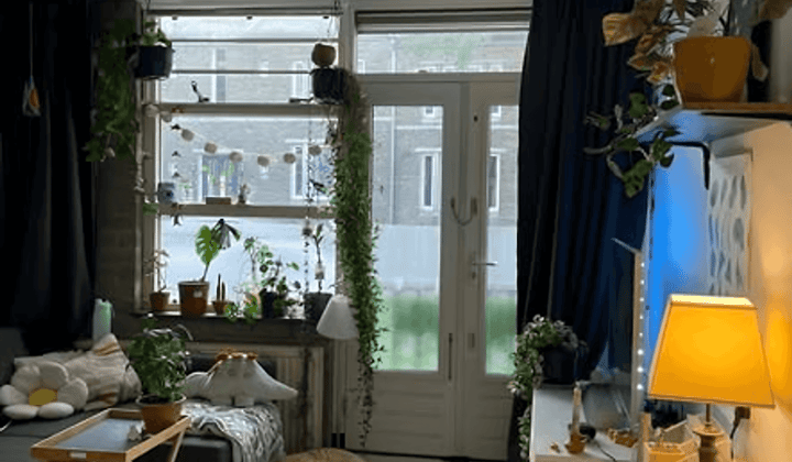 Kamer 24m² met gezamenlijke voorzieningen in studentenhuis