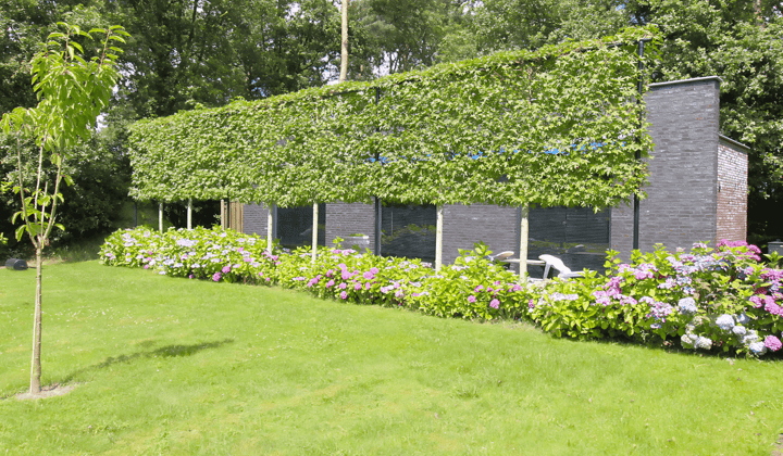 Appartement | 75m² | €1275,-