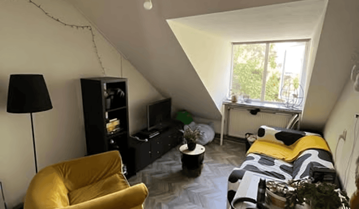 Kamer 13m² met prijs inclusief in Bottendaal