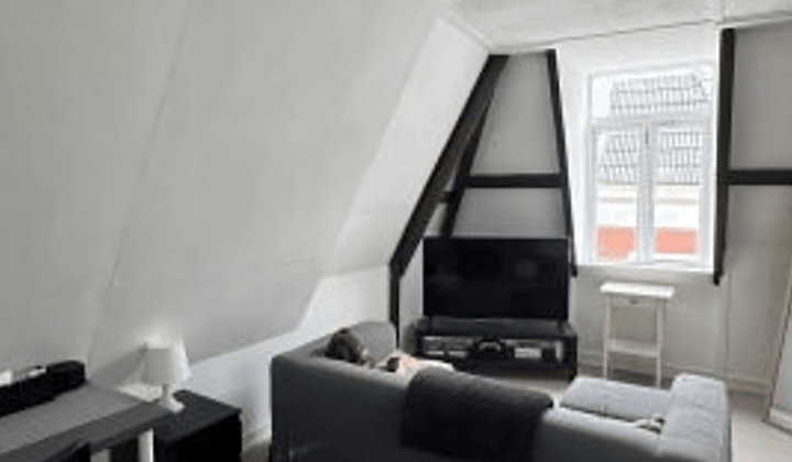 Tussenverdieping appartement met 1 slaapkamer en centrumlocatie