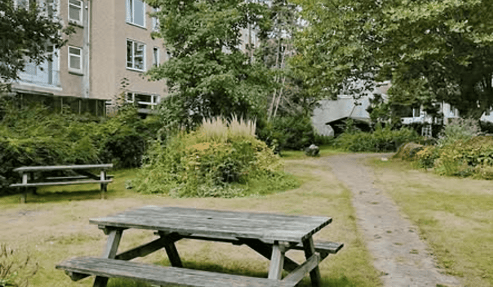 Studentenkamer met tuin in gedeeld studentenhuis
