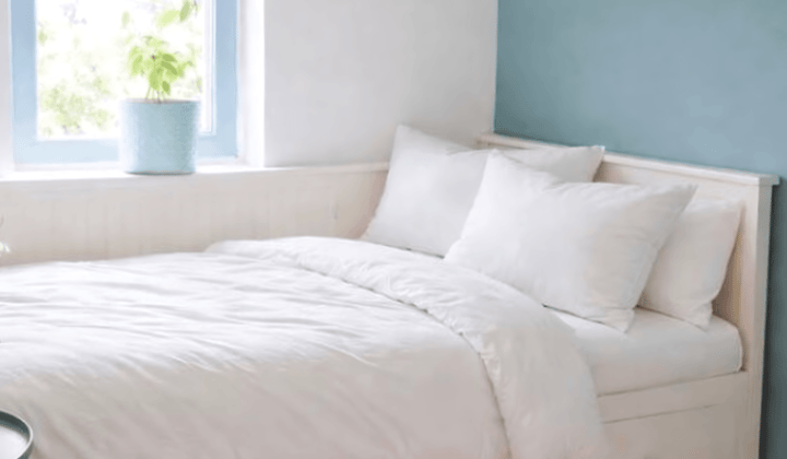 Kamer | 8m² | €1650,-