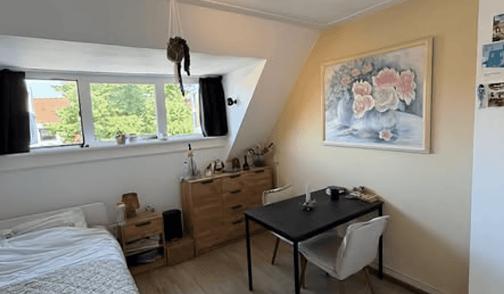 Kamer met balkon en wasmachine, geschikt voor werkende