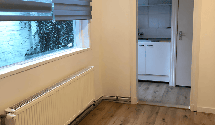 Gestoffeerde studio met 1 slaapkamer en werkplek