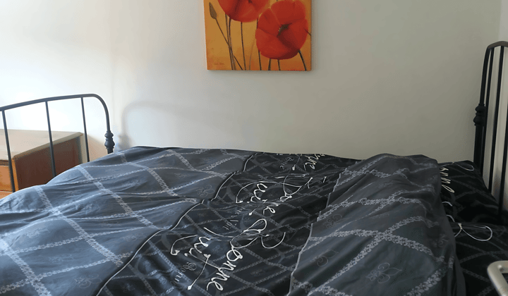 Gemeubileerde tijdelijke kamer zonder huisdieren