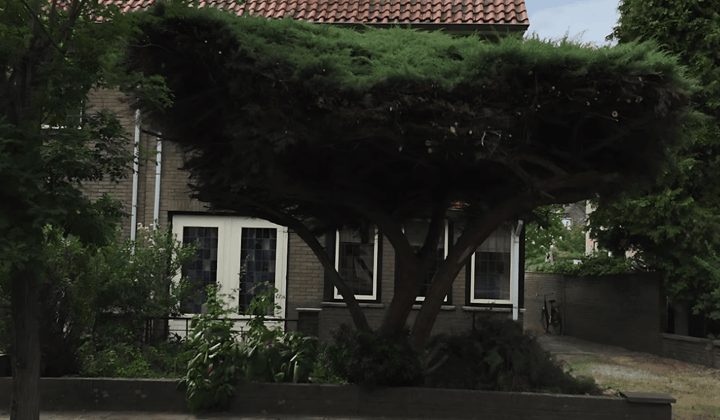 Gestoffeerde kamer met balkon en tuin, inclusief vaste lasten