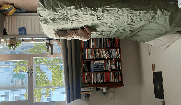 Gestoffeerde Studentenkamer met Balkon en Wasmachine