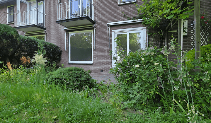 Huis · 250 m² · €2400,-