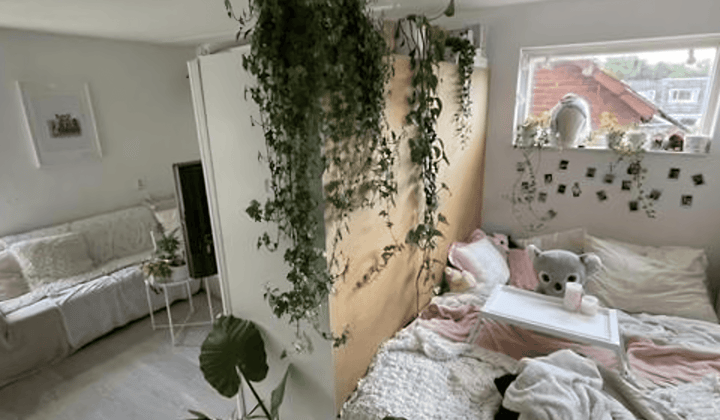 Kamer | 19m² | €450,-