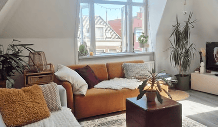 Gemeubileerd appartement met balkon en dieren welkom