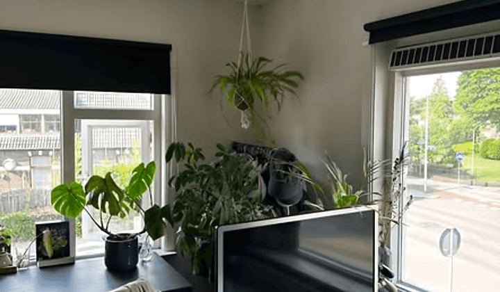Studentenkamer met gedeelde keuken en badkamers