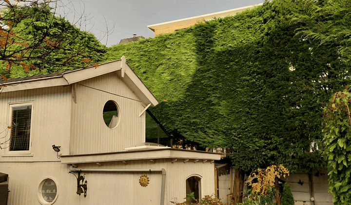 Gemeubileerde studio tijdelijk zonder huisdieren