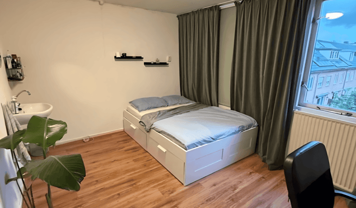 Kamer met tuin in mannenhuis zonder internationale studenten