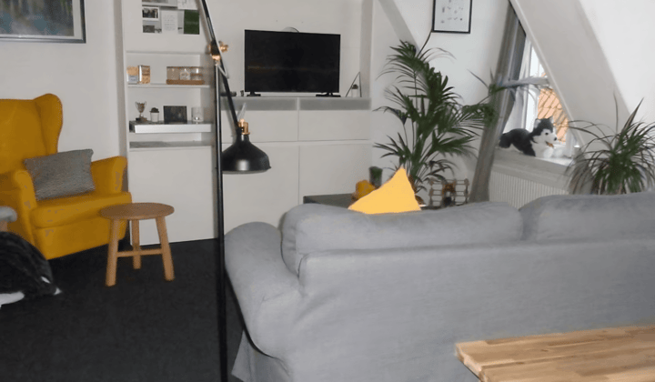 Gestoffeerde studio met eigen keuken en douche