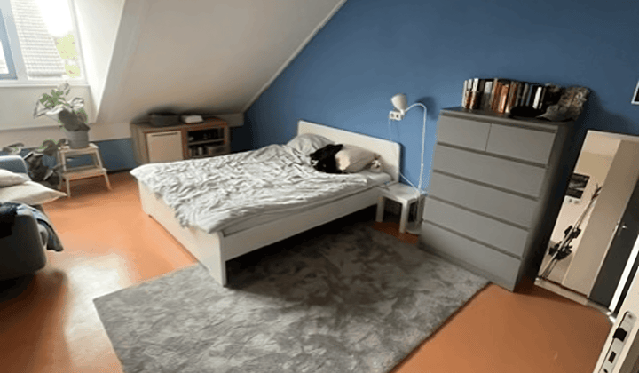 Anti Kraak · 80 m² · €320,-