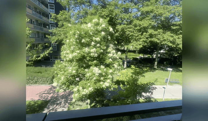 Appartement · 74 m² · €780,-