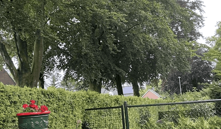 Studio · 25 m² · €700,-
