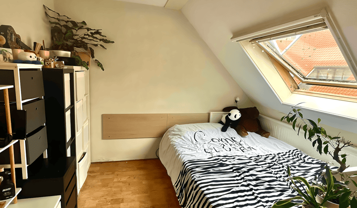 Kamer · 10 m² · €669,-
