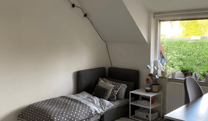 Kamer · 11 m² · €500,-