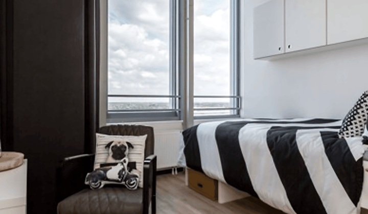 Studio · 24 m² · €781,-