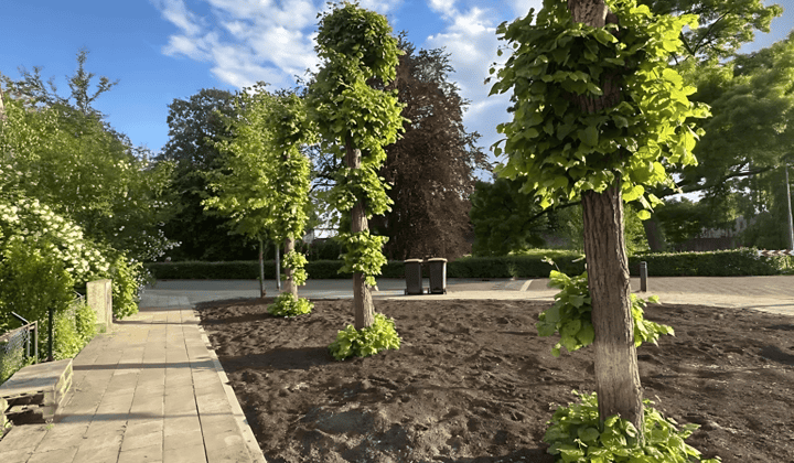 Huis · 90 m² · €850,-