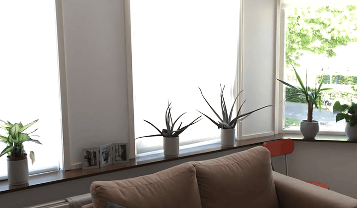 Kamer · 20 m² · €679,-