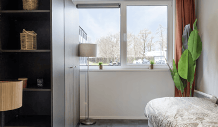 Studio · 15 m² · €439,-