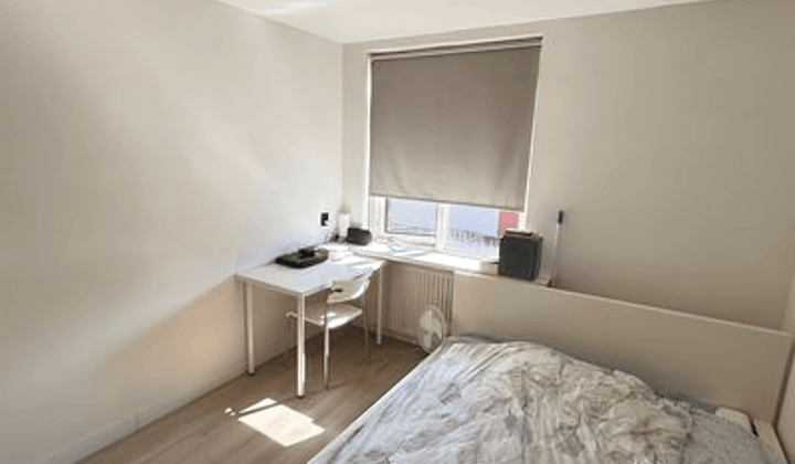 Kamer · 11 m² · €675,-